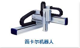 笛卡爾機器人