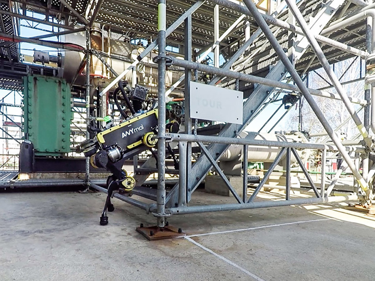 RAINhub：地面機器人