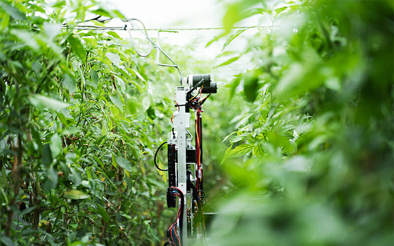 AGRIST  收割機器人