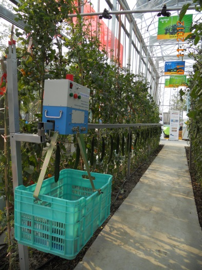 懸掛軌道式運輸機