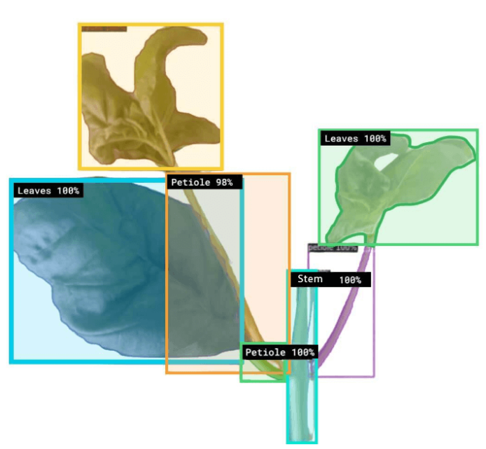 ironox  植物科學(xué)、機(jī)器人和數(shù)據(jù)：通往負(fù)碳之路