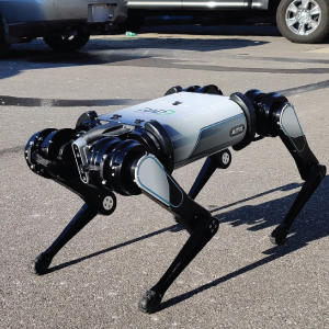 AITX RADDOG ?設計