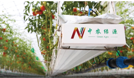 中農綠源  基質種植
