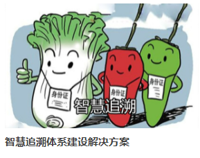 中軟動力  智慧追溯體系建設解決方案