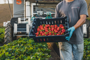 Advanced Farm為自動化而重新設計的拖拉機