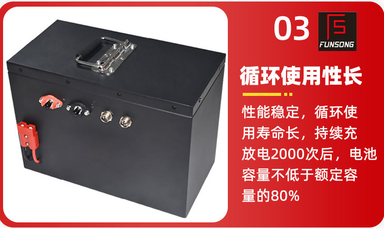專業PACK工廠磷酸鐵鋰電池 