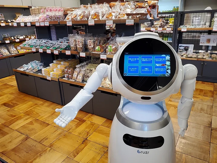 AMBASSADOR  ROBOT  ?SOLUTION