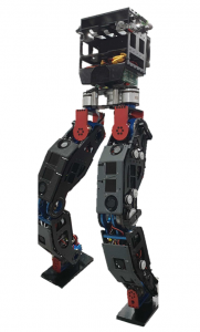 人形機器人 RoK-3